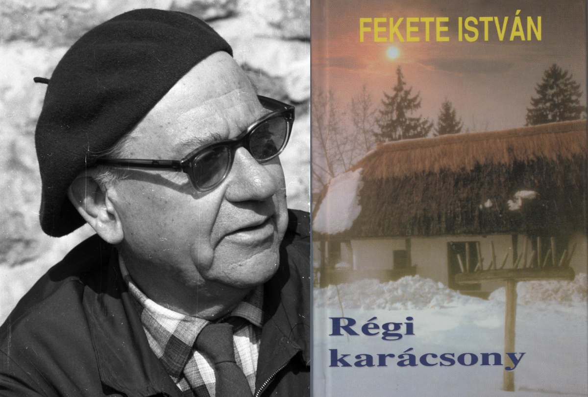 az-iro-aki-szivebe-martotta-tollat