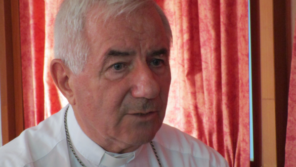 novekedjunk-a-tanitvanysagban-beszelgetes-pal-jozsef-csaba-puspokkel