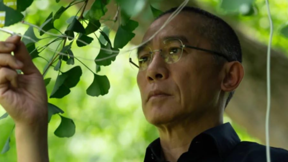 tanulni-kell-a-fakat-a-csendes-barat-cimu-filmrol