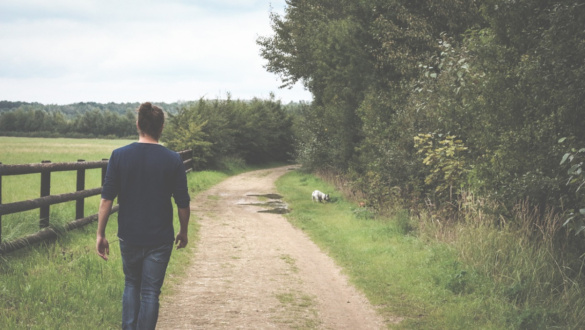 a-friss-levego-csodakra-kepes