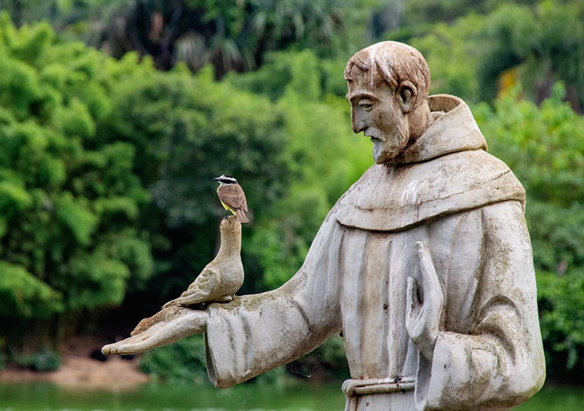 szent-ferenc-naphimnuszanak-szuletese